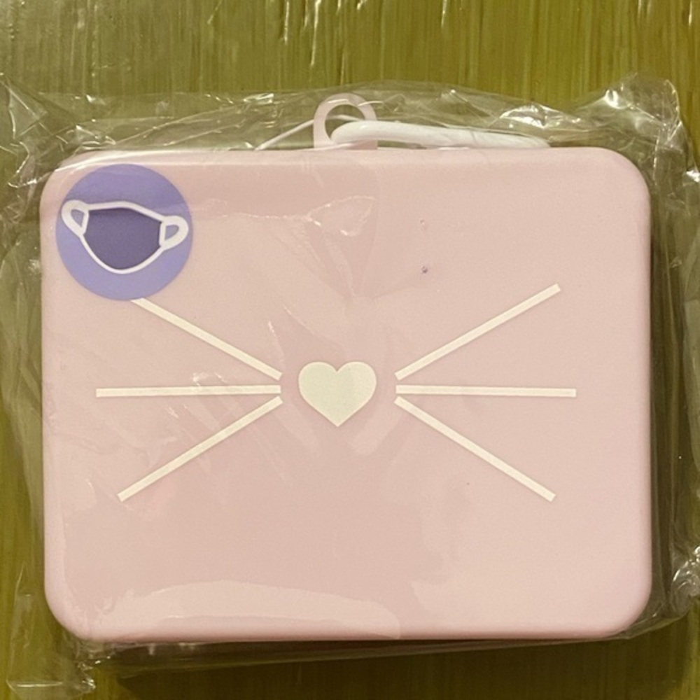 Face mask case